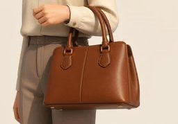 Illustration for 皮包 (leather bag)