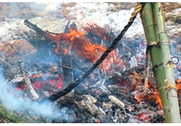 ablazeのイラスト