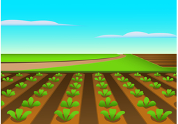 agrarianのイラスト