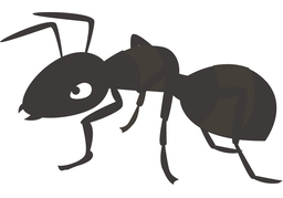 antのイラスト