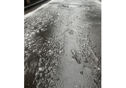 bedraggledのイラスト