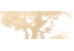 blurryのイラスト