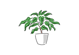 botanyのイラスト