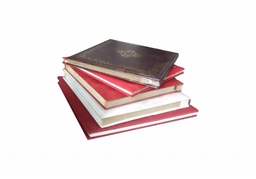 bulkyのイラスト