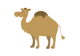 camelのイラスト
