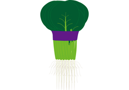 cohesiveのイラスト