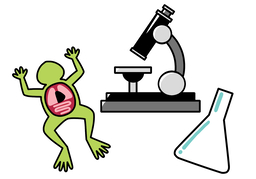 dissectのイラスト