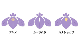 distinctionのイラスト