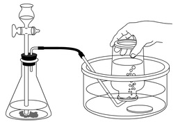 emanateのイラスト