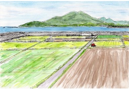 farmlandのイラスト