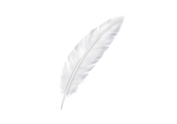 featherのイラスト