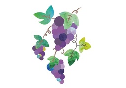grapeのイラスト