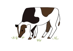 grazeのイラスト