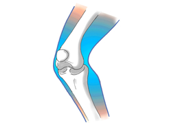 gristleのイラスト