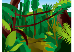 jungleのイラスト