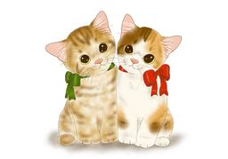 kittenのイラスト