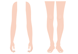 limbのイラスト