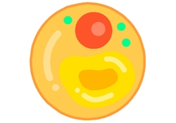 membraneのイラスト