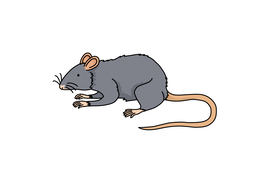 mouseのイラスト
