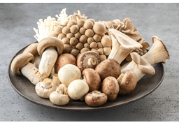 mushroomのイラスト