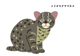 nativeのイラスト