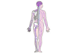 neuralのイラスト