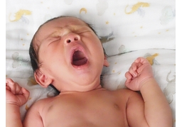 newbornのイラスト