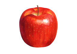 oneのイラスト