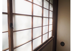 opaqueのイラスト