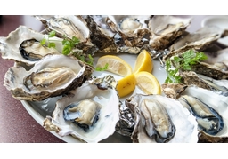 oysterのイラスト