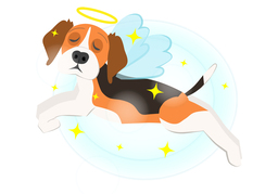 perishのイラスト