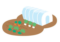 plantationのイラスト