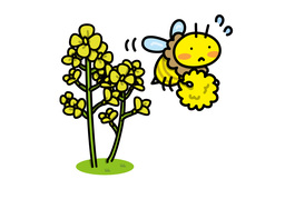 pollinationのイラスト