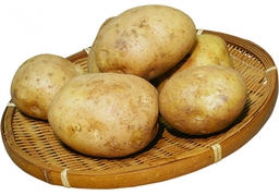 potatoのイラスト