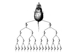 progenyのイラスト