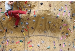 protrusionのイラスト