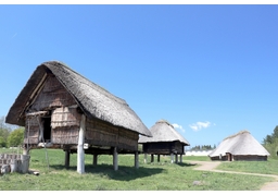 recreateのイラスト