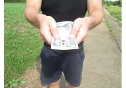 repayのイラスト