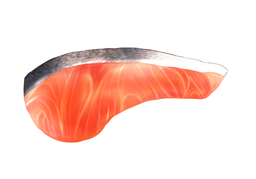 salmonのイラスト