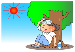 shadowのイラスト