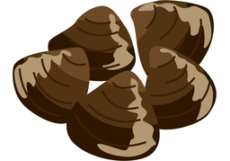 shellfishのイラスト