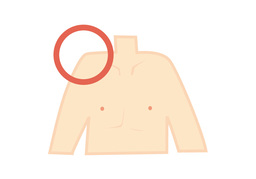 shoulderのイラスト