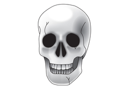 skullのイラスト