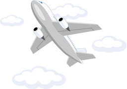 soarのイラスト