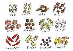 spiceのイラスト