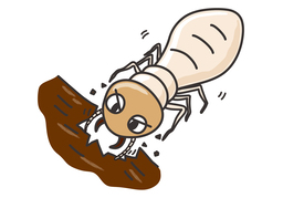 termiteのイラスト