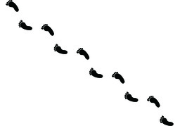 traceのイラスト