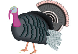 turkeyのイラスト