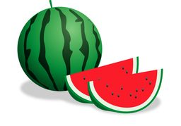 watermelonのイラスト