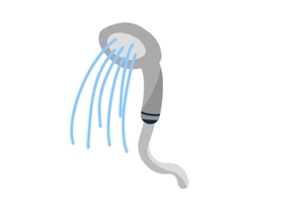 weakenのイラスト